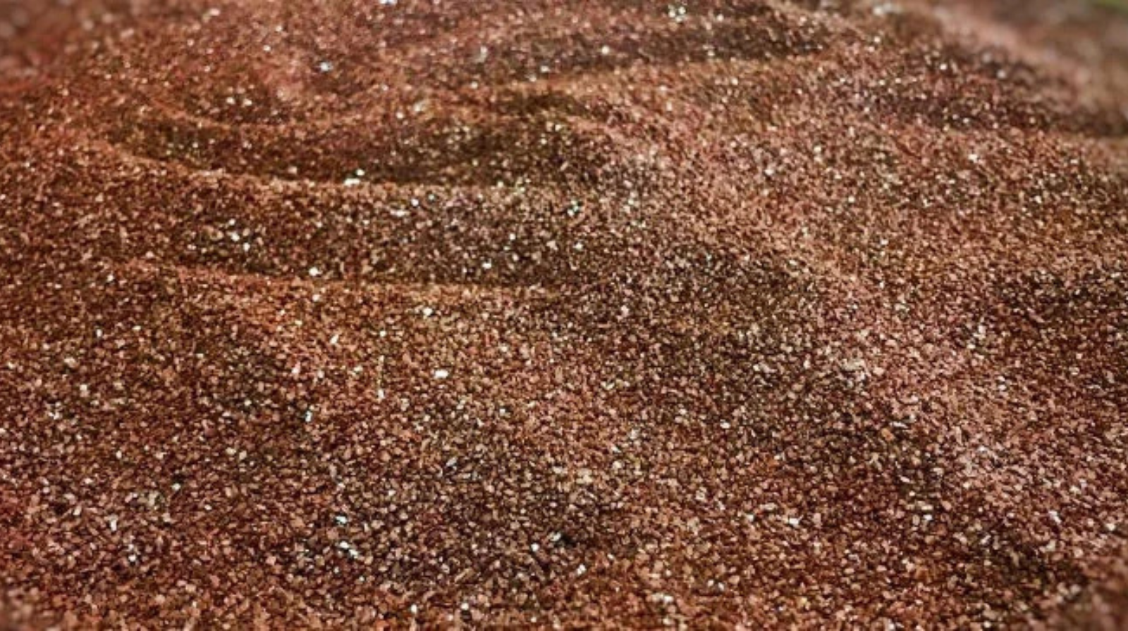 Design ohne Titel (7)